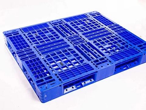 45645